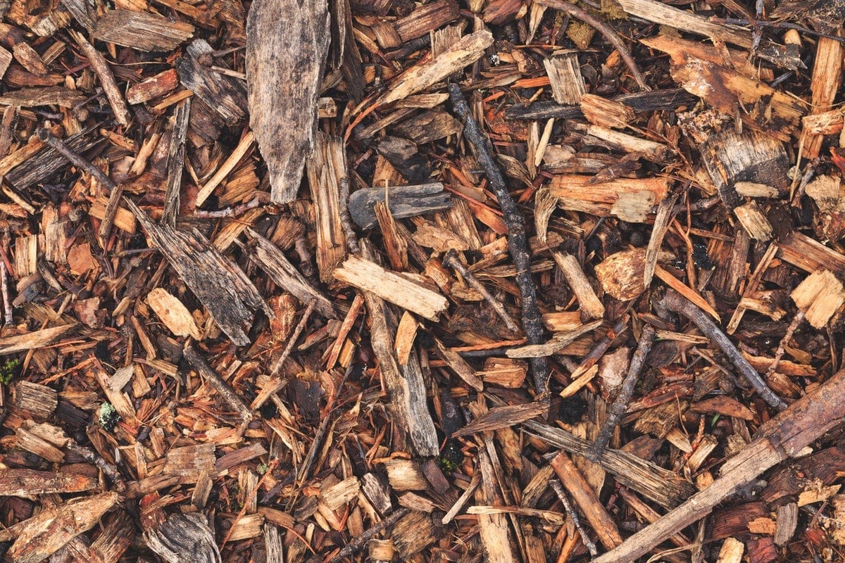 Topsoil and Bark